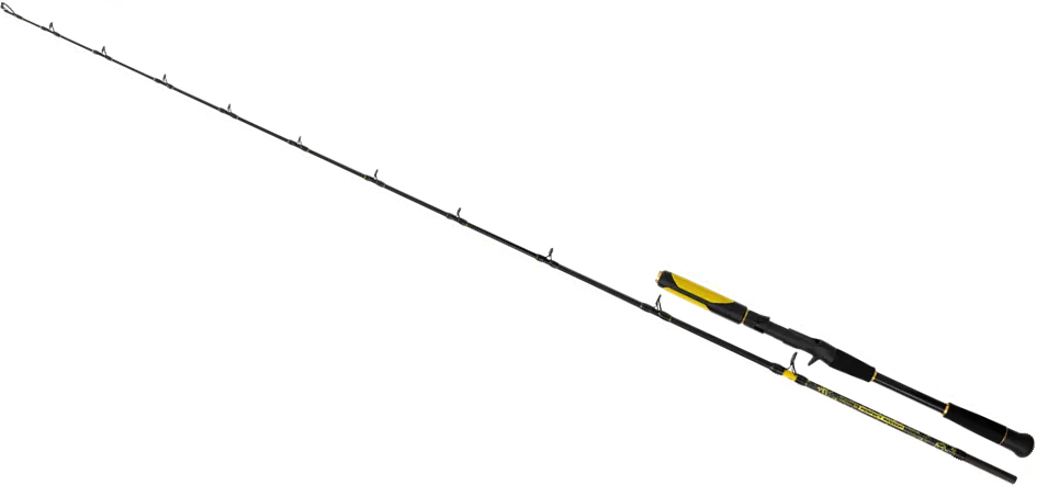 Black Cat Perfect Passion Allstar Cast Casting Rod 2.20m 30–130g 238g Semi-parabolic