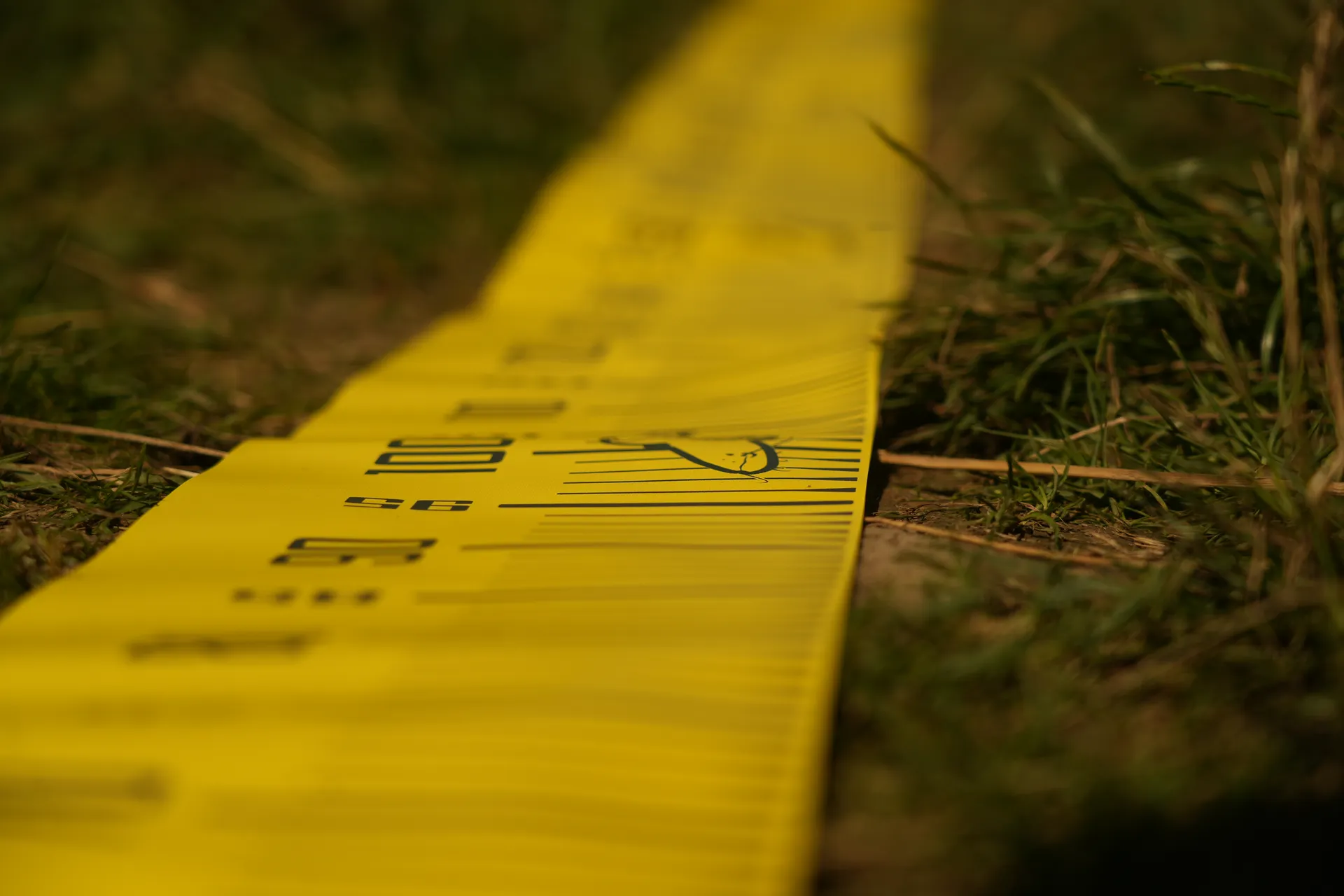 Black Cat Cat Measure 300cm Maßband