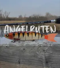 Rod Selection - Für jeden Fisch die perfekte Rute!