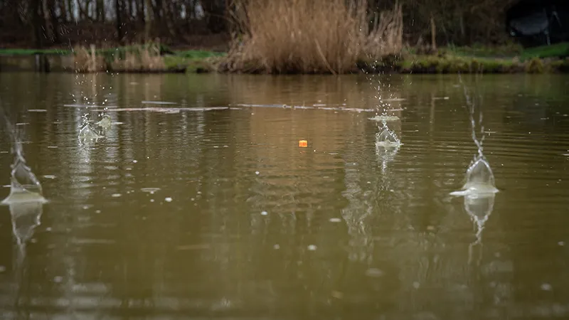 Matrix 12mm Pellet Wagglers 12g