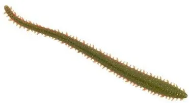 Berkley Gulp Saltwater Sandworm 14pc 15cm Camo