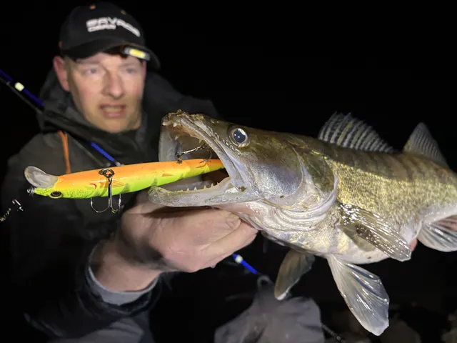 Wobbler für Zander - Köder des Vertrauens!