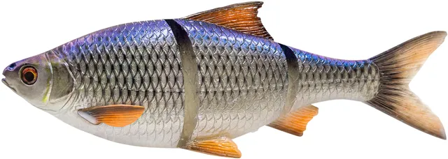 Savage Gear 3D Line Thru Roach 32cm 445g S Blue Roach