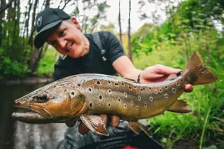 Erfolgreichen Start in die Forellensaison