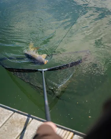 Fox Horizon X4S Kescher 107cm Camo Mesh High Modulus Carbon