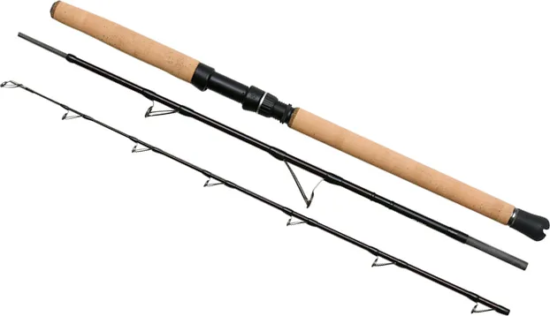 Savage Gear Fury SG6 Boat Travel 2.00m 200–600g 323g Moderate Fast