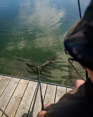 Fox Horizon X4S Kescher 107cm 240cm Camo Mesh High Modulus Carbon