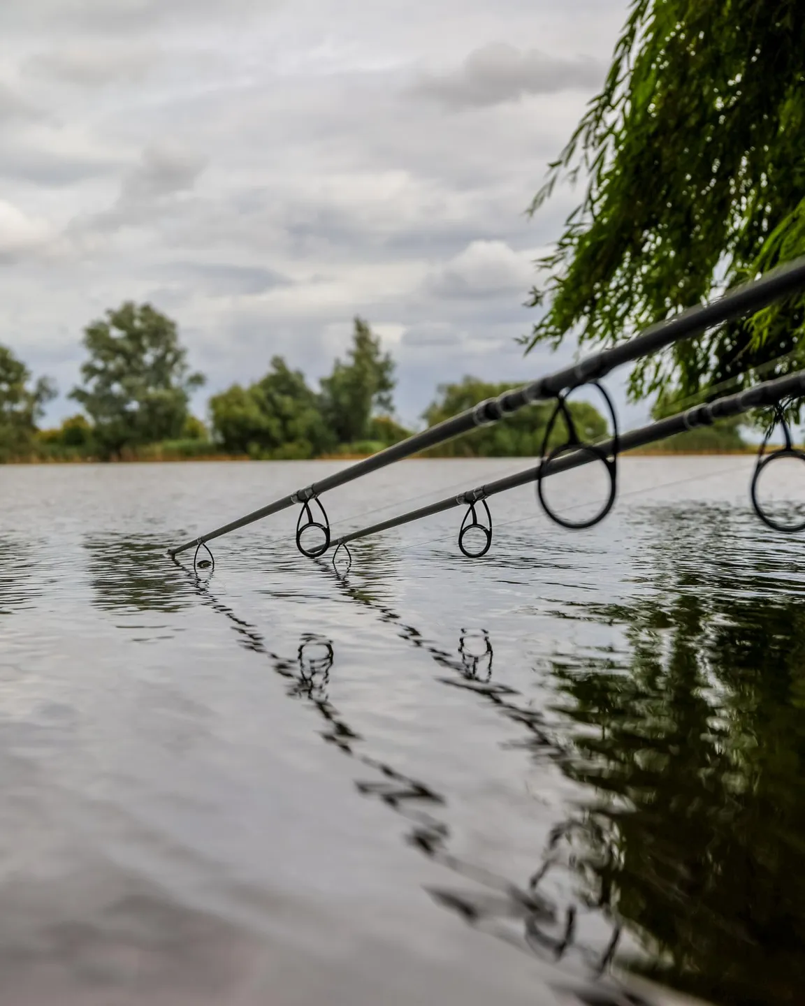 Fox Horizon X5 Black 3.66m 370g 187cm