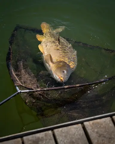 Fox Horizon X4S Kescher 107cm 240cm Camo Mesh High Modulus Carbon