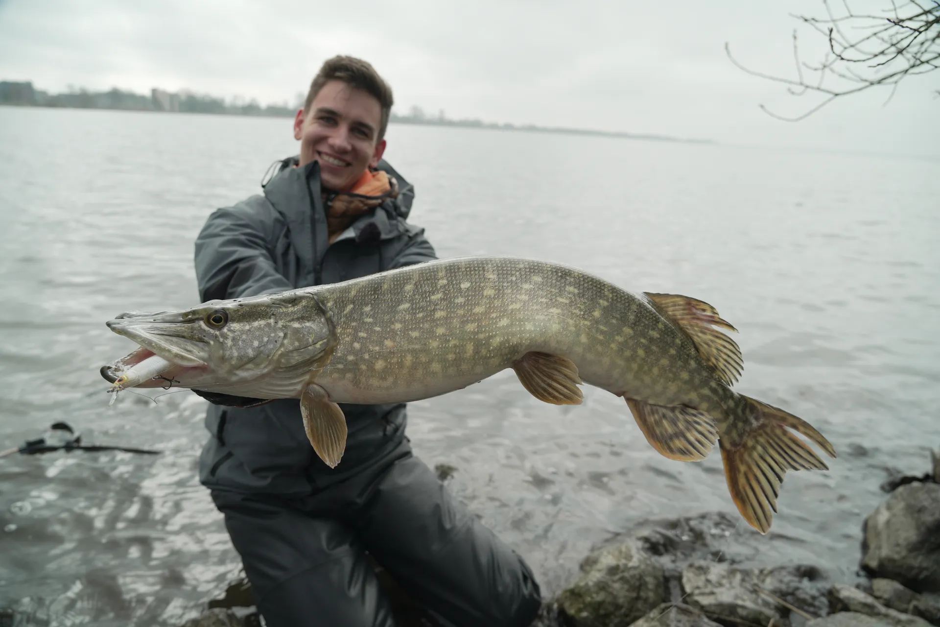 Berkley DEX Stunna 100 Jerkbaits 10cm 10.2g 0.7–1.5m Super Slow Sinking