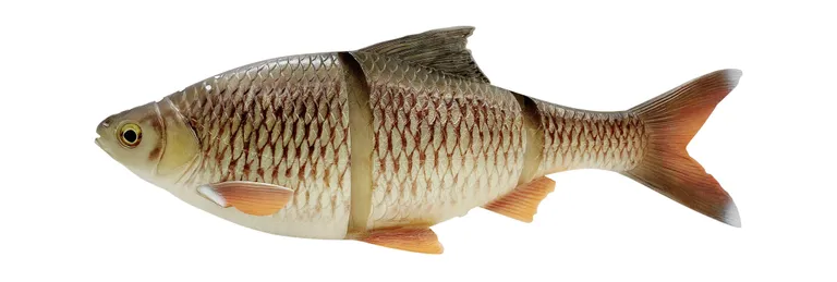 Savage Gear 4D LT Roach - 25cm, 206g, Bream