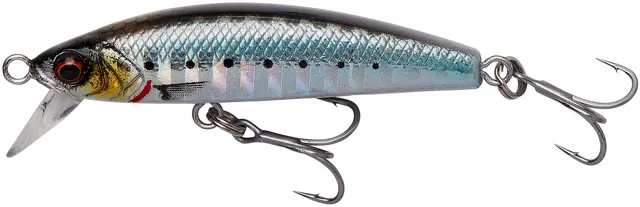 Savage Gear Gravity Minnow 5cm 3.1g F Sardine Photo Print
