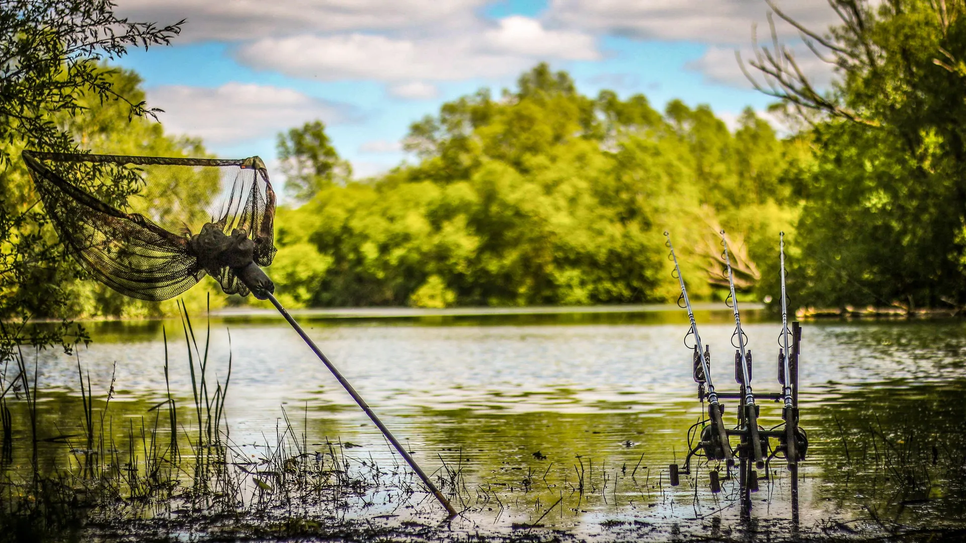 Prologic Snz Bite Alarm Set 3P1 Red/Green/Blue