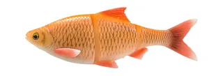 Savage Gear 4D Line Thru Roach - 32cm, 420g, Albino Roach