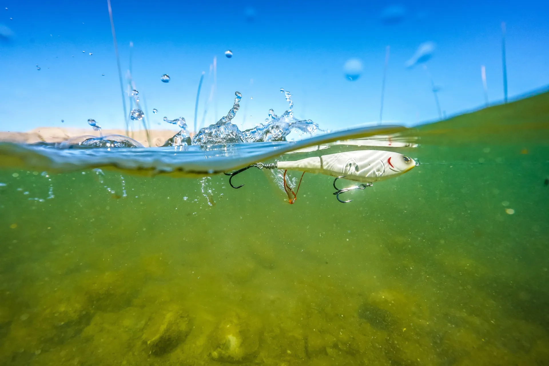Berkley Choppo Topwater 9cm 14g Ghost Bluegill