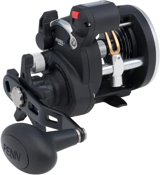 Penn Rival Level Wind 15 LC 5.1:1 519g