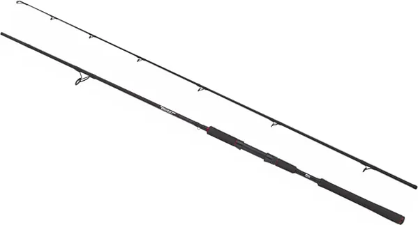 Abu Garcia Beast Pike 842XH 2.54m 30–110g Fast