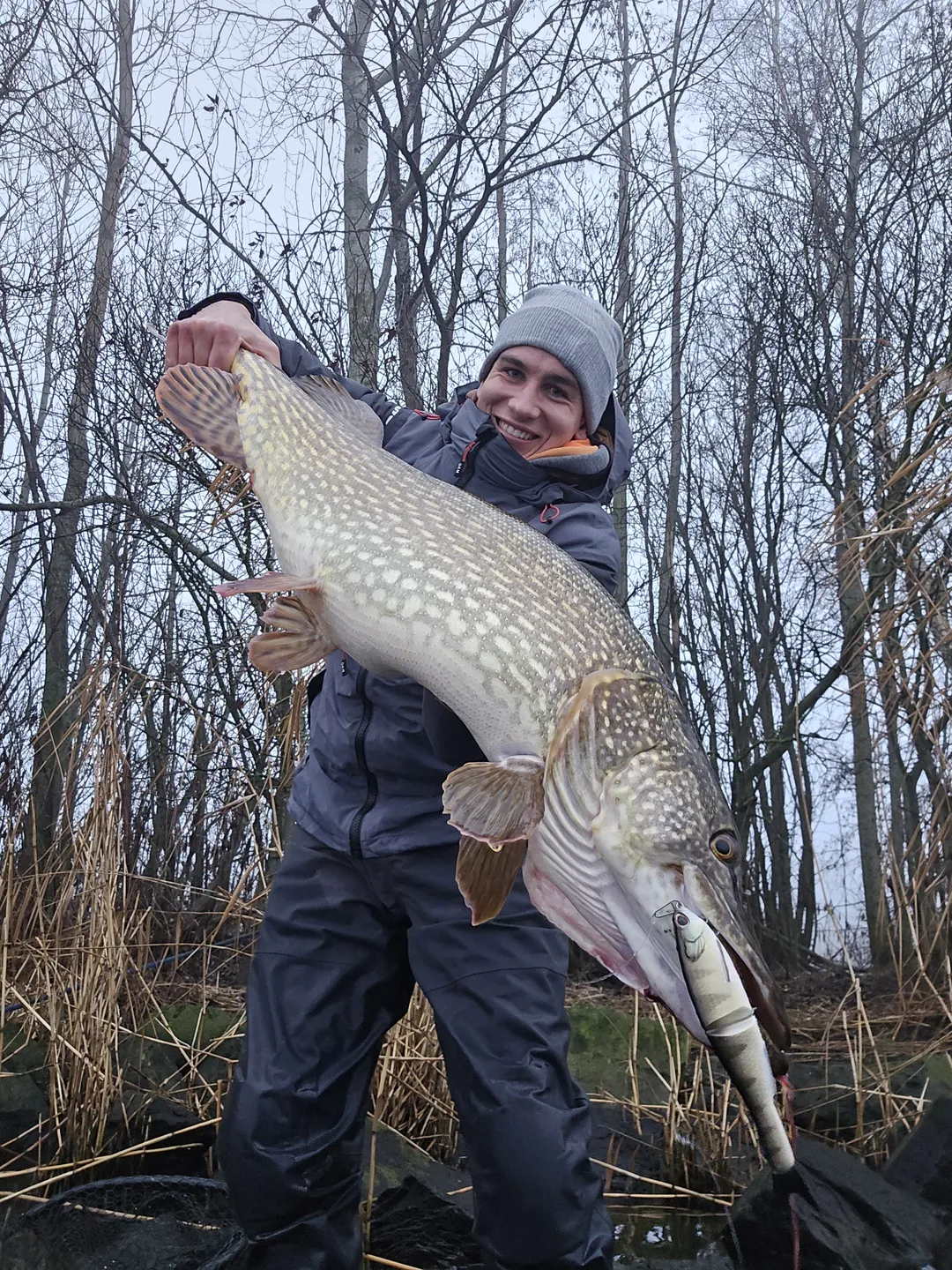 Berkley PowerBait Nessie Weiche Köder 22cm 57g Slow Sinking Perch