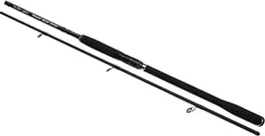 Bullseye Dentist Spinning Rod 300 3m 50–165g 2pc Progressive