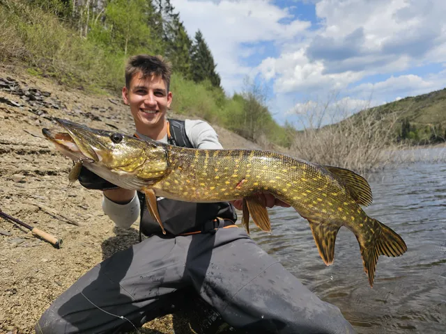 Hechtköder für den Sommer