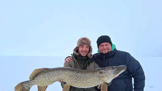 Deadbait Hechtangeln 