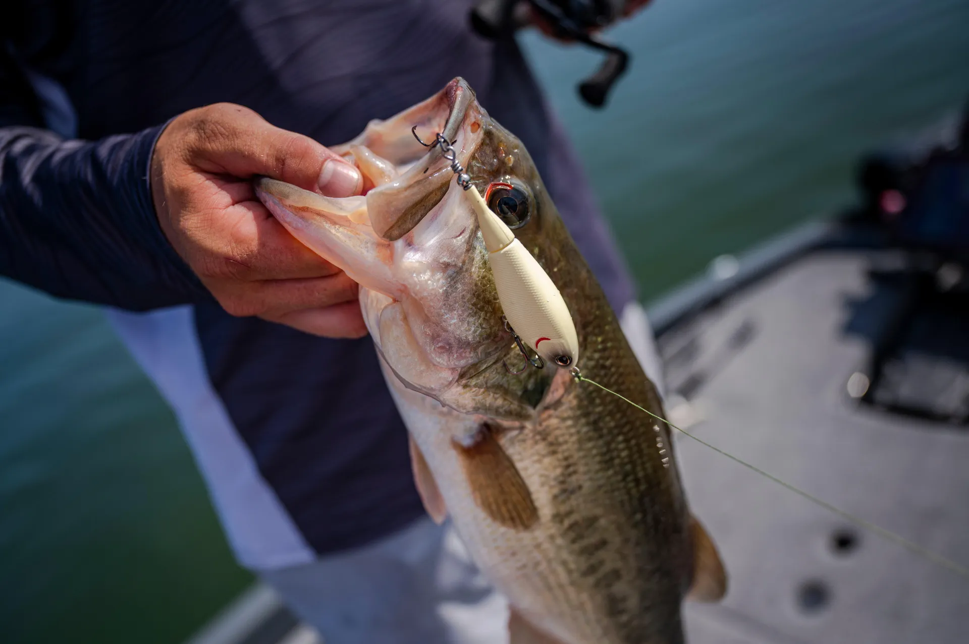 Berkley Choppo Topwater 90mm GHBGL Freshwater HK