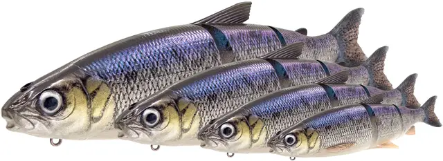 Savage Gear 3D Line Thru Whitefish Softbait 36cm 478g Moderate Sinking Fire Whitefish