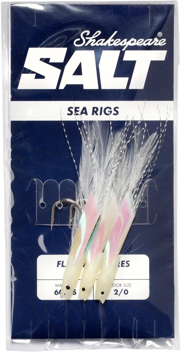 Shakespeare SALT Rig 4/0