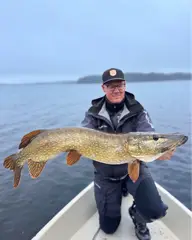 Fall Season - Die goldene Jahreszeit für dicke Hechte!