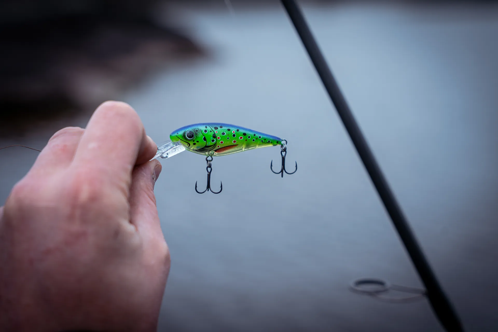 Salmo Rattlin Executor SDR 5cm 5.5g 1.2–2.7m Purple Trout