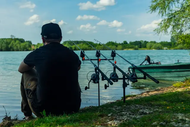 Fox Black Label QR Buzz Bar 3 Rod Adjustable 25–28cm Aluminium