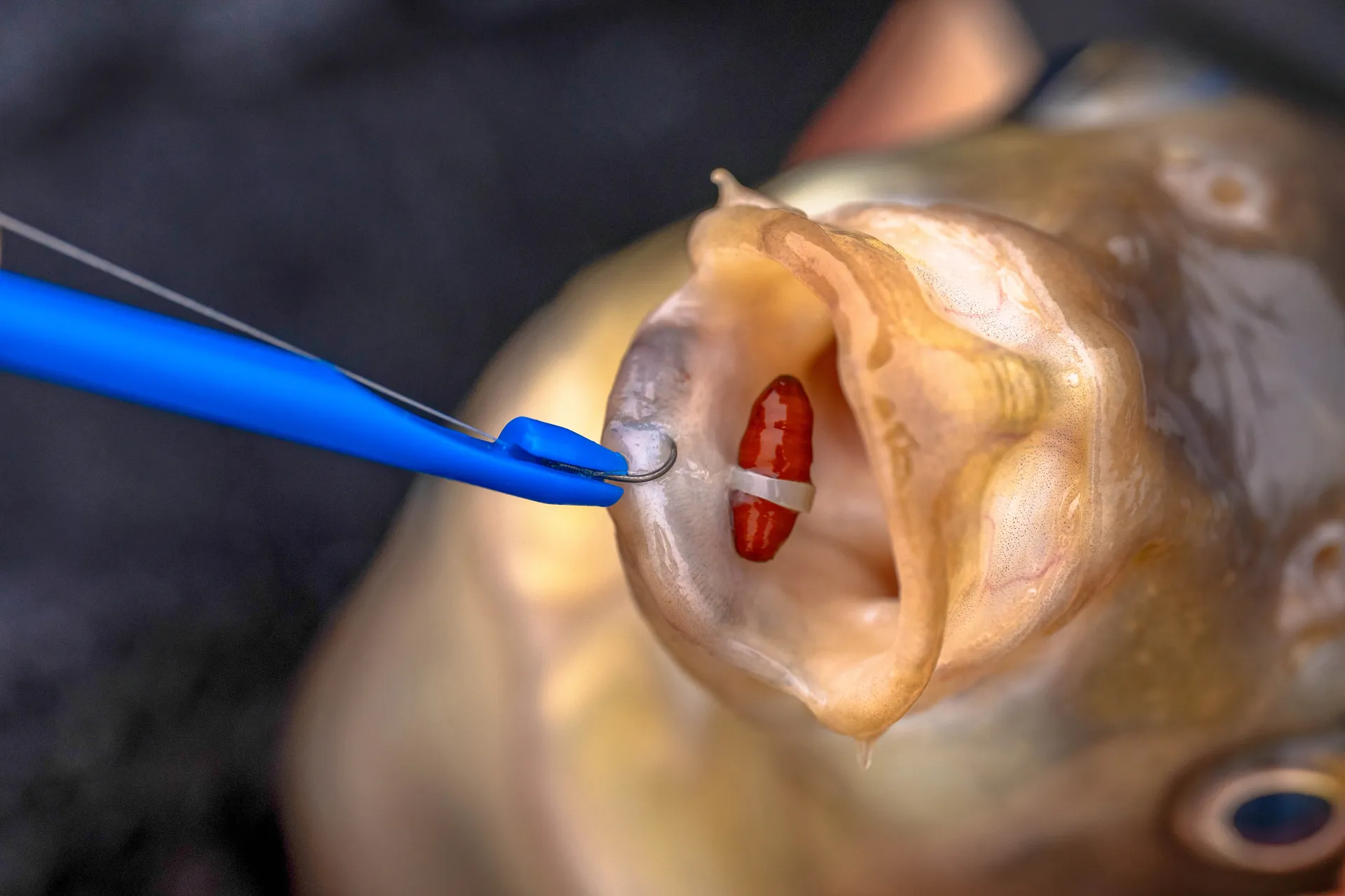 Preston Bander Disgorger Twin Pack 4mm