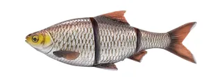 Savage Gear 4D Line Thru Roach - 32cm, 445g, Silver Bream Ghost