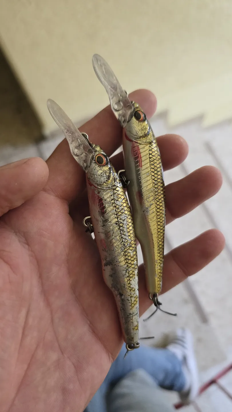 Savage Gear Gravity Twitch SR Crankbaits 9.5cm 15g 0.7–1.5m Suspending Dirty Roach