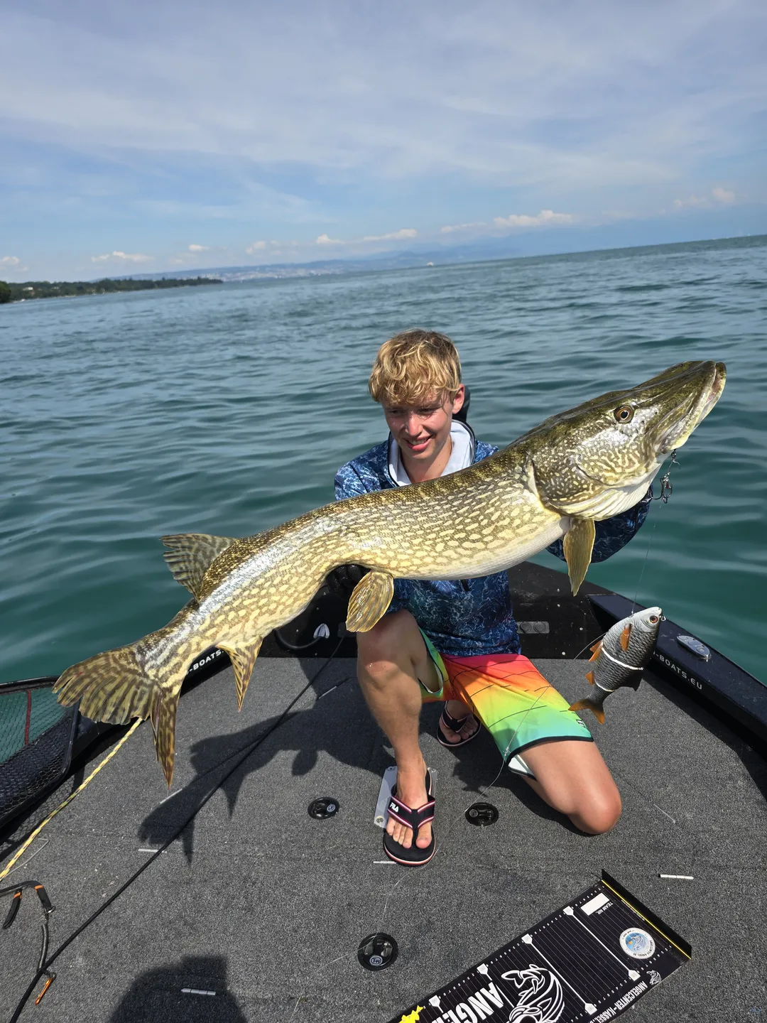 Savage Gear 4D Line Thru Roach Softbait 32cm 445g Slow Sinking Roach