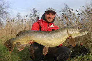 Deadbait Hechtangeln 