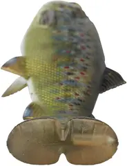 Savage Gear 4D Line Thru Pulse Tail Trout 20cm 102g SS Perch