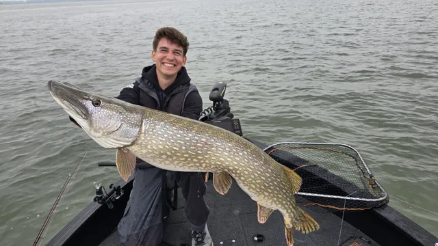 AngelWelt Berlin 2025 – Top-Hechtköder