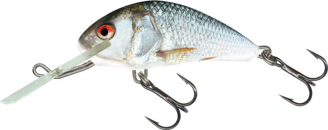 Salmo Hornet 2.5cm 0.5–1.0m 1.5g Real Dace