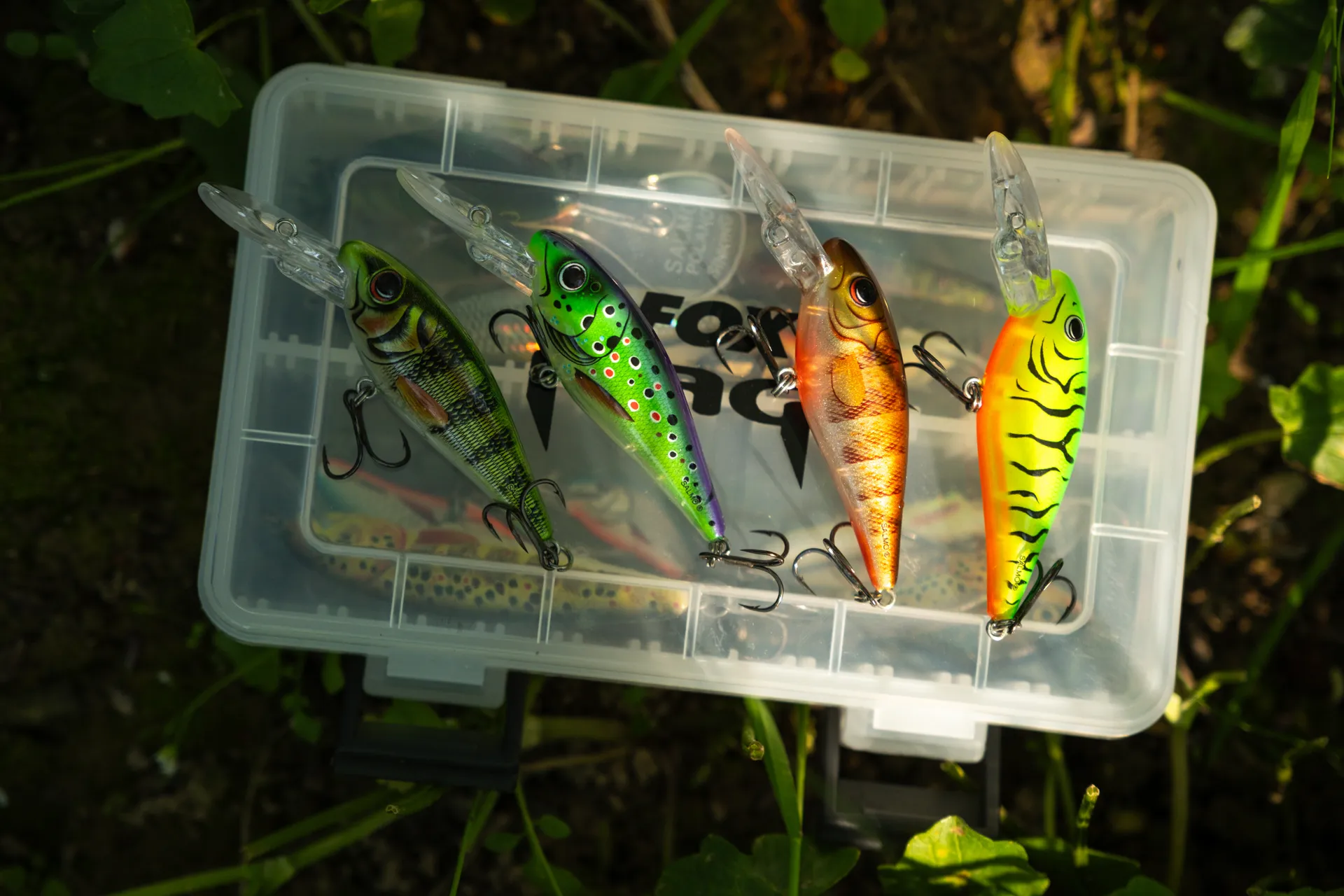 Salmo Rattlin Executor SDR 5cm 5.5g 1.2–2.7m Brown Perch