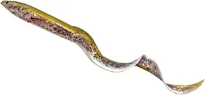 Savage Gear Real Eel 30cm 56g Green Lamprey