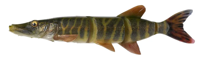 Savage Gear 4D LT PIKE - 25cm, 105g, Striped Pike, 1pc