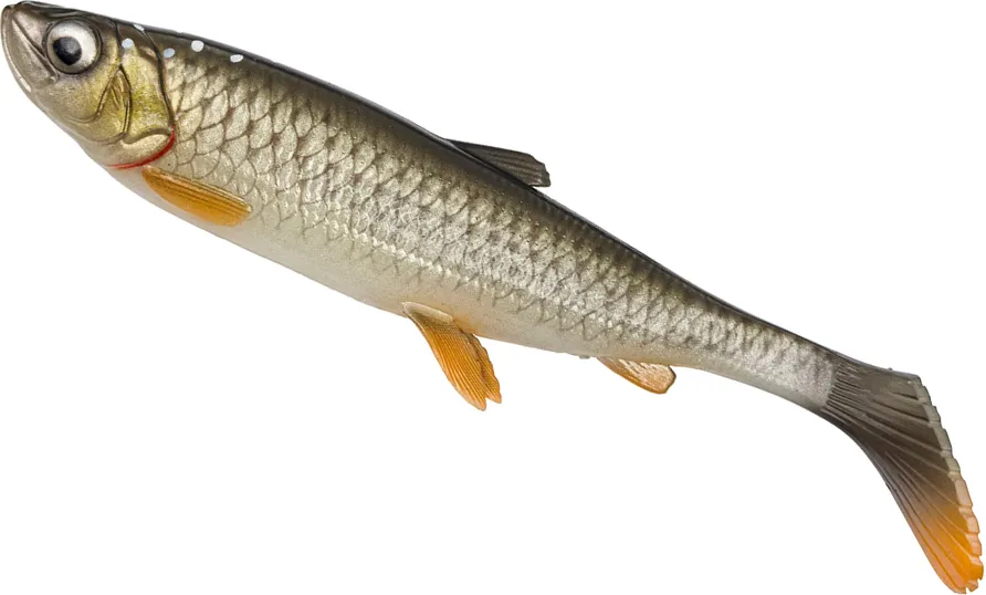 Savage Gear 3D Herring Shad V2 Weiche Köder 17.5cm 35g 2pc Bream