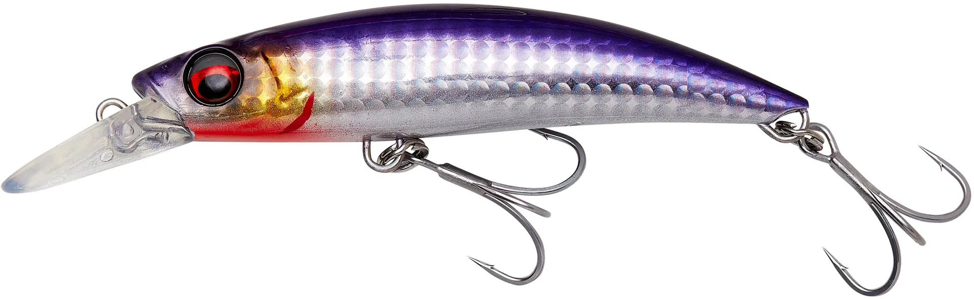 Savage Gear Gravity Runner 10cm 3–50m 55g Bloody Anchovy Photo Print