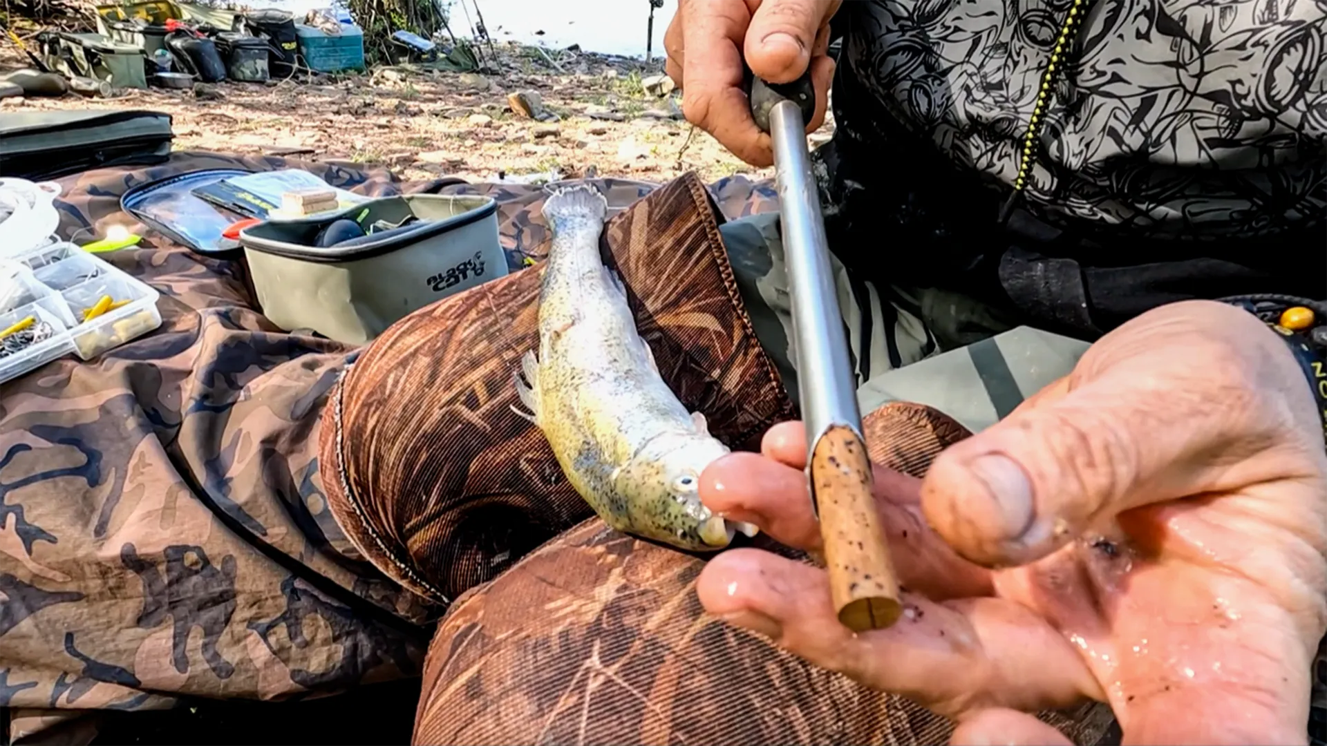 Black Cat Köderfisch Ausstanzer 40cm