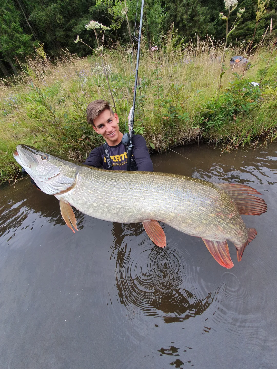 Savage Gear 4D Line Thru Trout 25cm 180g 0.5–1.5m Slow Sinking Rainbow