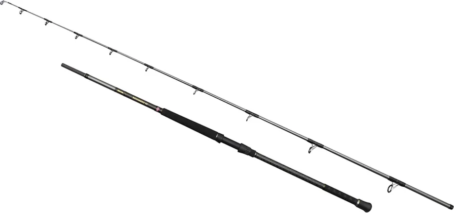 Penn Regiment IV Uptide Rod 1002 3.04m 70–300g 530g Fast