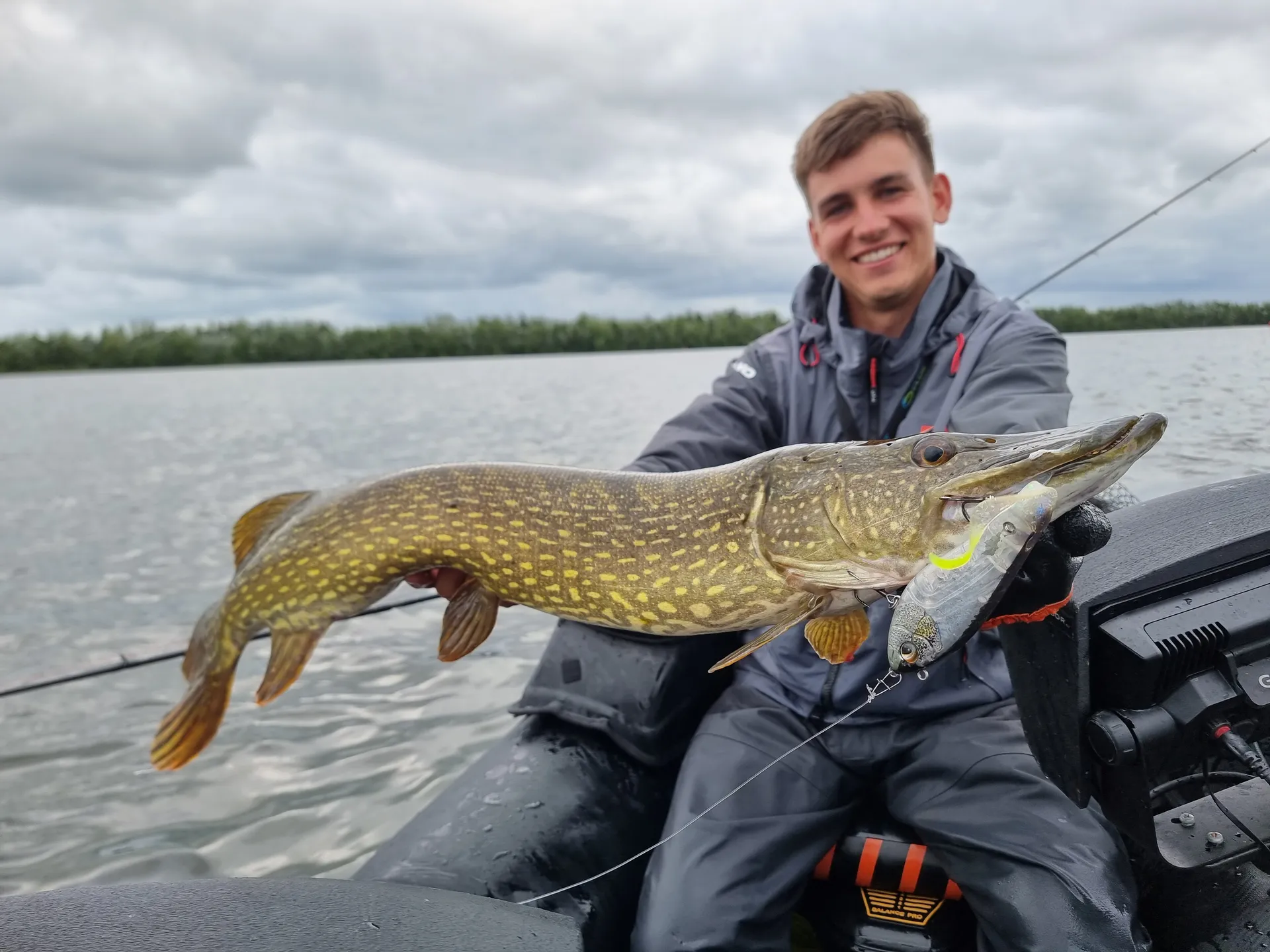 Savage Gear Deviator Tail Tail baits & hybrid baits 16.5cm 48g 0.5–1.5m Clear Herring