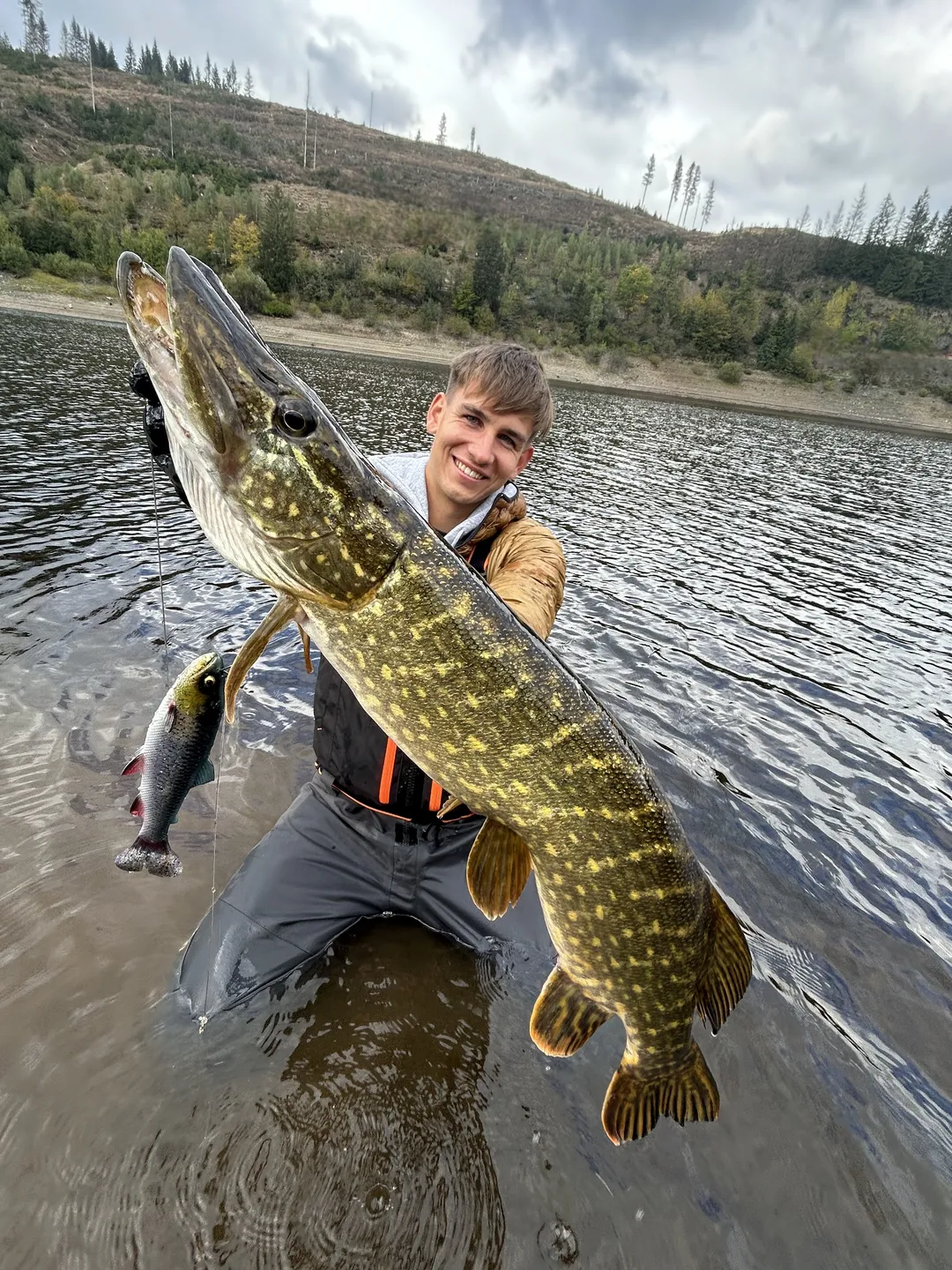 Savage Gear 4D Line Thru Pulse Tail Trout Softbaits 20cm 102g Slow Sinking Green Silver