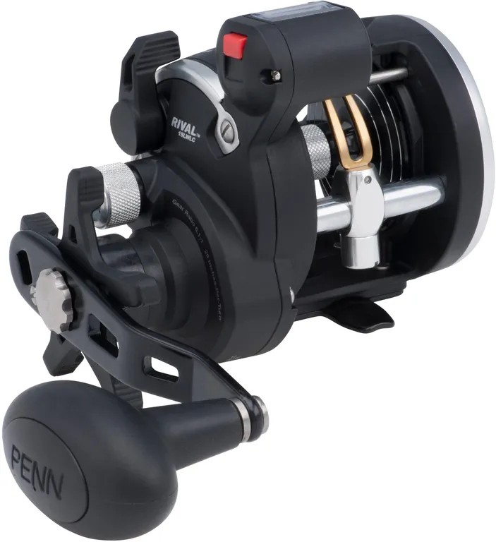 Penn Rival Level Wind 15 LC 5.1:1 519g